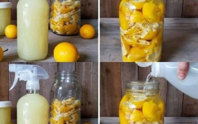 Citrusinių vaisių žievelės: sudėkite jas į stiklinį indelį ir jums niekada nebereikės jų išmesti, kaip visada darydavo mano močiutė!