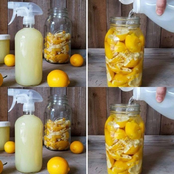 Citrusinių vaisių žievelės: sudėkite jas į stiklinį indelį ir jums niekada nebereikės jų išmesti, kaip visada darydavo mano močiutė!