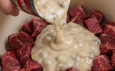 Dubenėlis grietinėlės grybų sriubos ir šie 3 ingredientai dedami ant kubeliais pjaustyto jautienos kumpio ketaus puode, kad pagamintų sočią vakarienę, kurią visi prisimins vėl ir vėl.