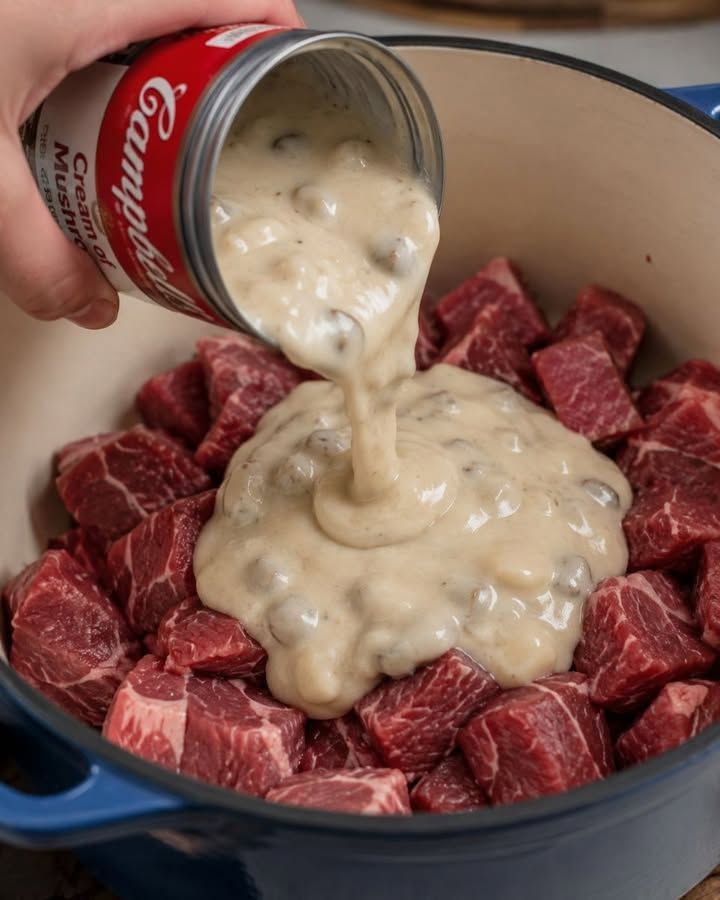Dubenėlis grietinėlės grybų sriubos ir šie 3 ingredientai dedami ant kubeliais pjaustyto jautienos kumpio ketaus puode, kad pagamintų sočią vakarienę, kurią visi prisimins vėl ir vėl.