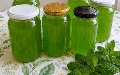 Jei savo sode auga daug mėtų, išbandykite šį stebuklingą sirupą – šviežią: 1 arbatinis šaukštelis ramina skrandžio sutrikimus, gerina virškinimą ir padeda…